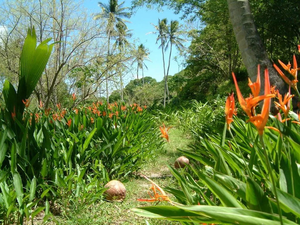Balenbouche Estate Villa Laborie Saint Lucia